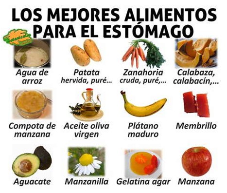 Los mejores alimentos para el estomago